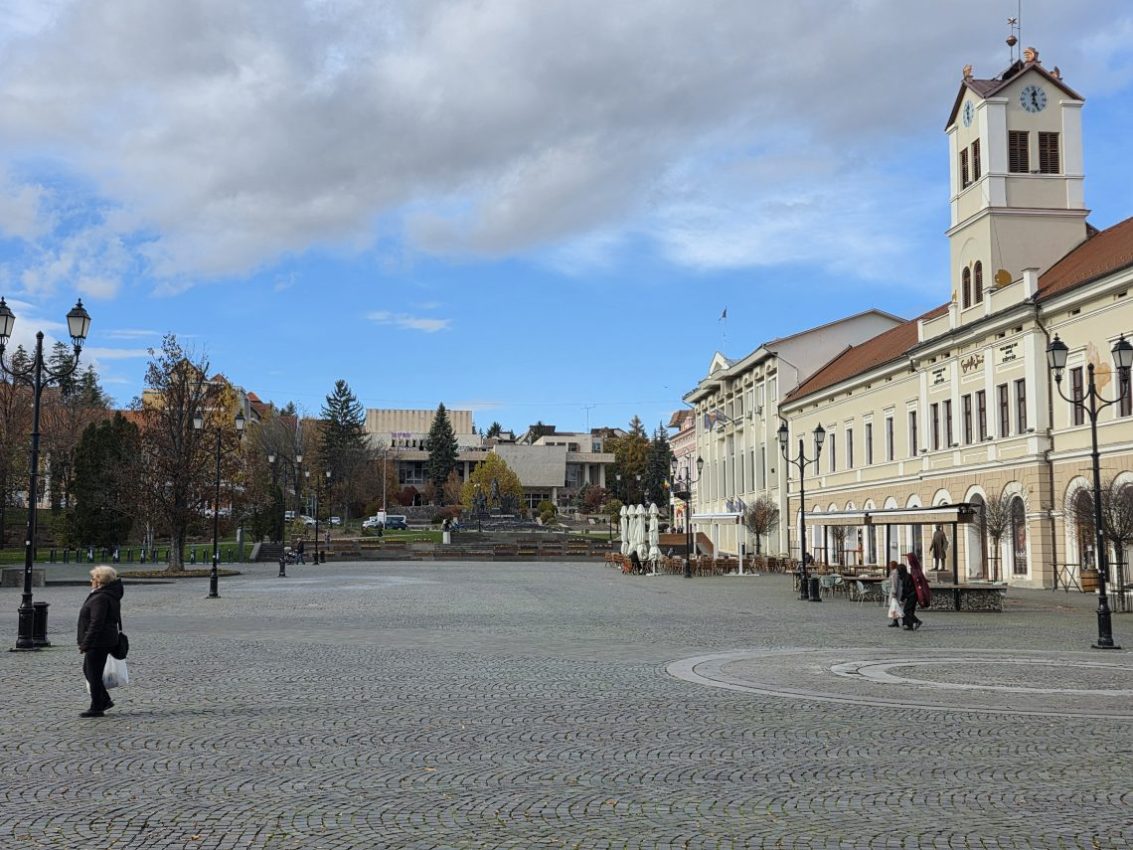 Câine agresiv atacă patru persoane în Piaţa Centrală din Sfântu Gheorghe, prins de poliție