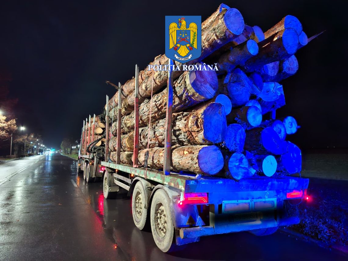 Transport ilegal de lemn descoperit în județul Covasna: cantitatea reală este surprinzătoare.